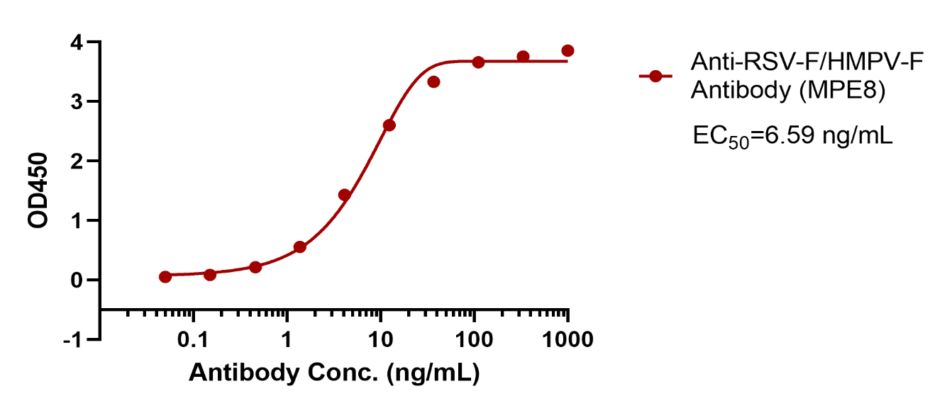 Anti-RSV-F/HMPV-F Antibody (MPE8)