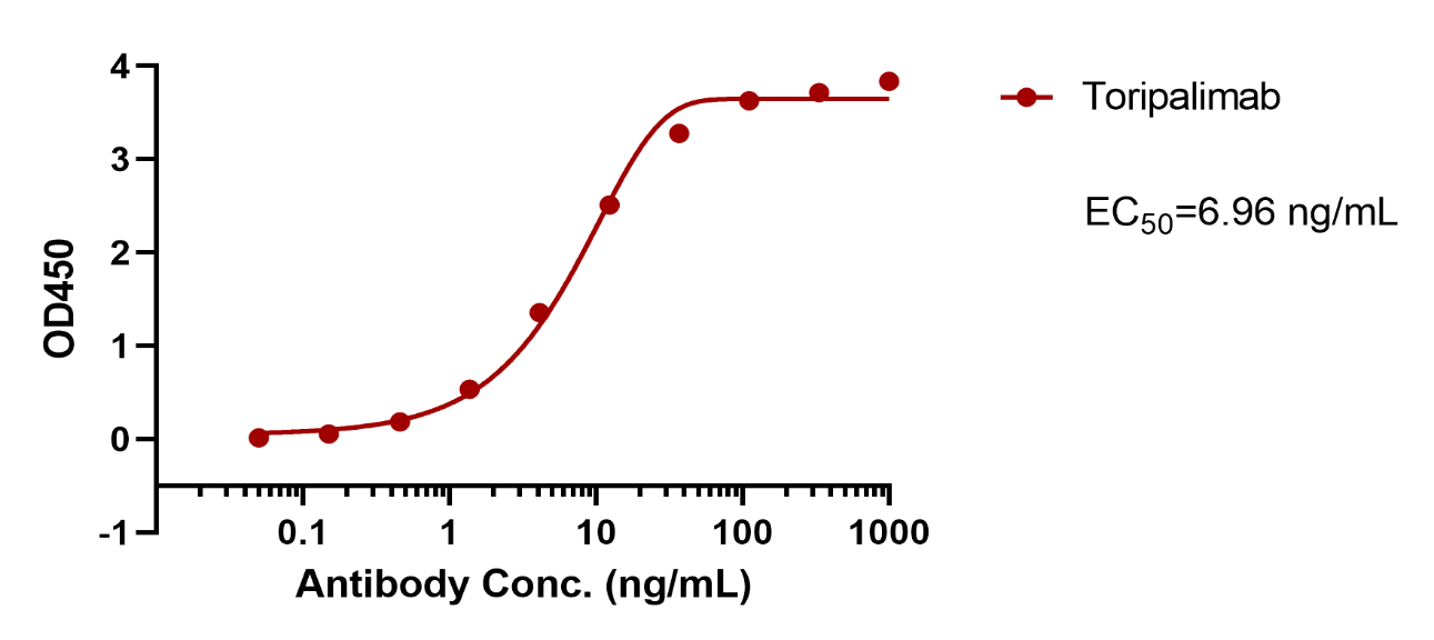 Toripalimab