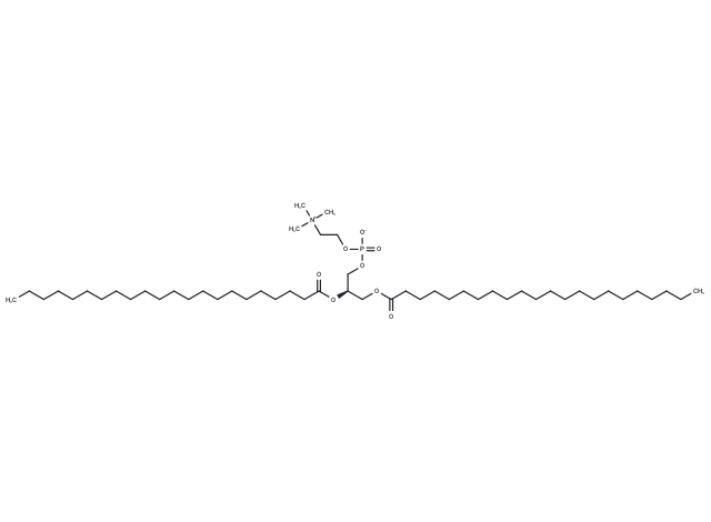 1,2-Didocosanoyl-Sn-Glycero-3-Phosphocholine