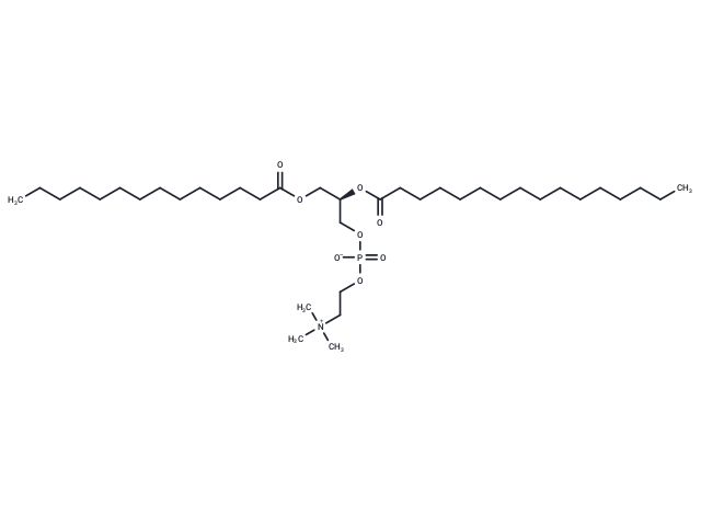 1-Myristoyl-2-palmitoyl-sn-glycero-3-phosphocholine