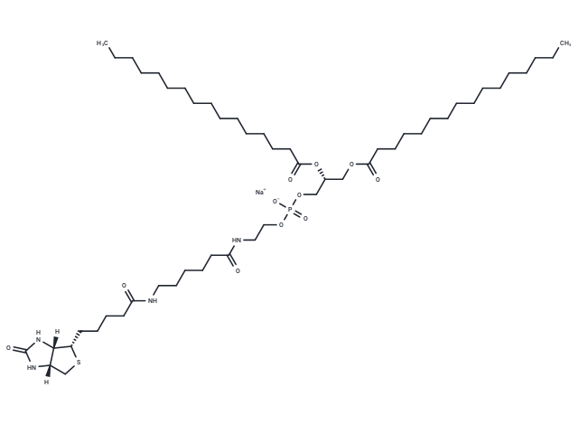 1,2-Dipalmitoyl-sn-glycero-3-PE-N-(cap biotin) sodium salt
