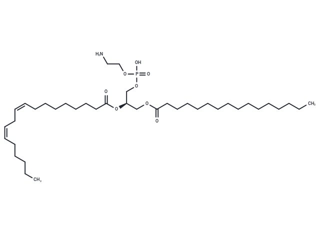 1-Palmitoyl-2-linoleoyl PE