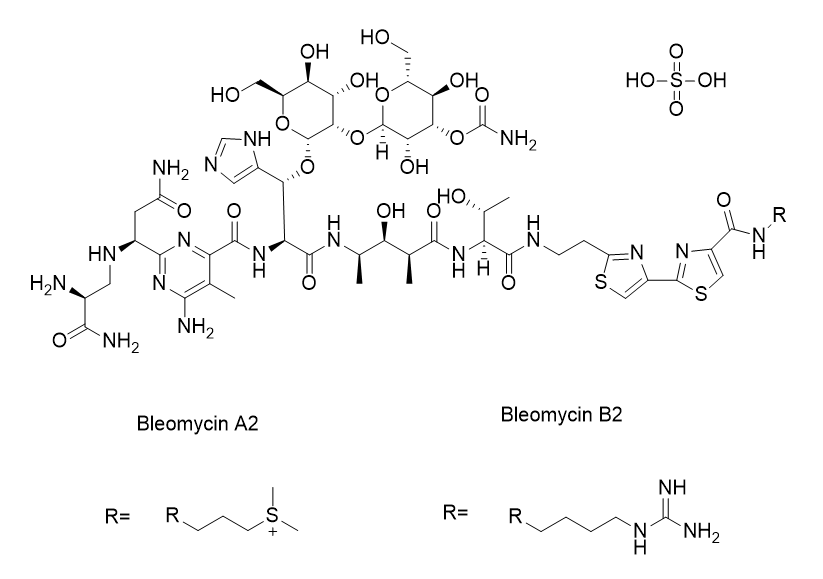 Bleomycin Sulfate