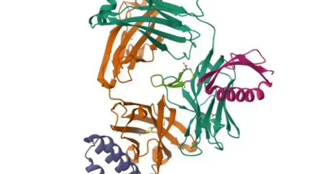 TargetMol—Star Molecules—Trastuzumab (Cat. No. T9912, CAS. 180288-69-1), Inhibits HER2 Shedding