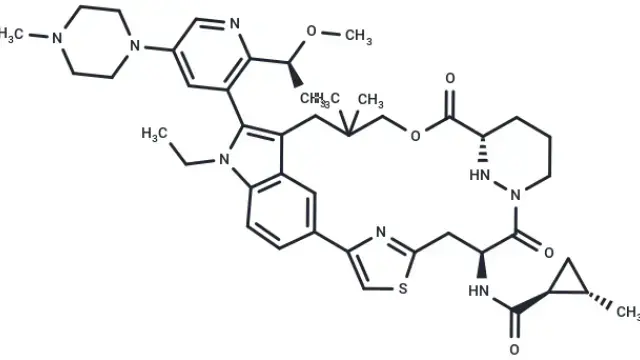 TargetMol Star Molecules: Daraxonrasib & RMC-7977 & Zoldonrasib