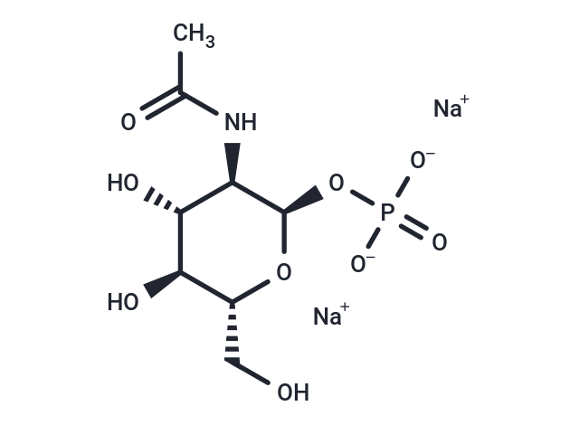 N-Acetyl-α-D-glucosamine 1-phosphate disodium