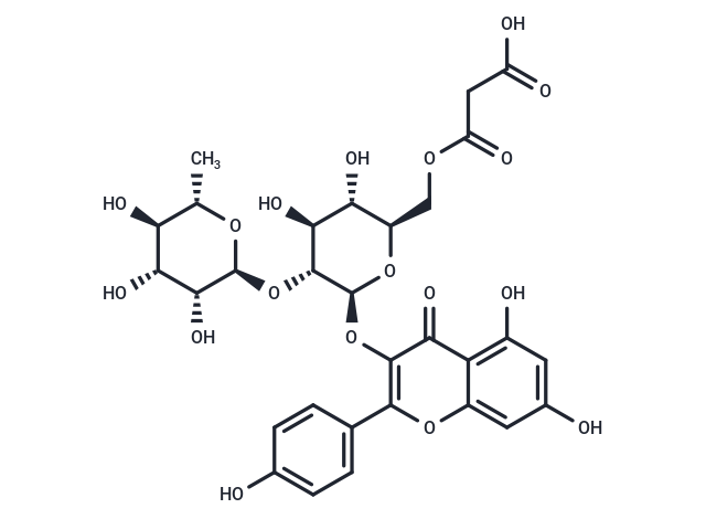 Kaempferol 3-O-(2′′-O-α-rhamnosyl-6′′-O-malonyl-β-glucoside)