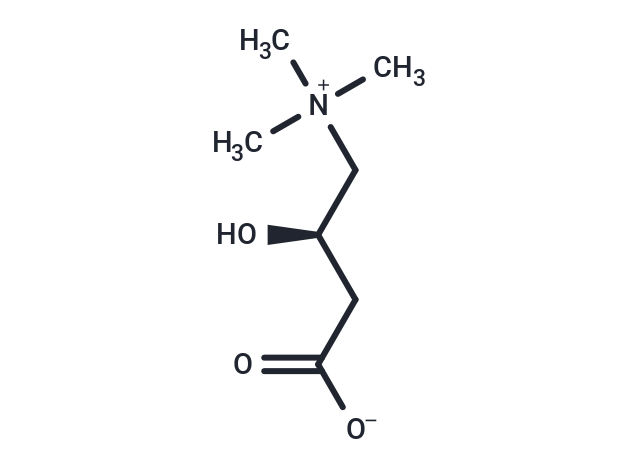 L-Carnitine (Standard)