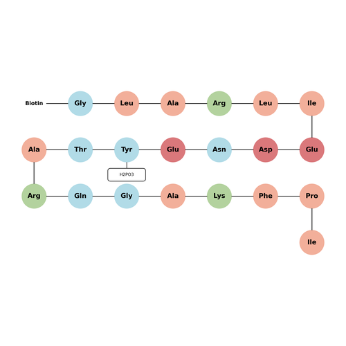pFYN peptide