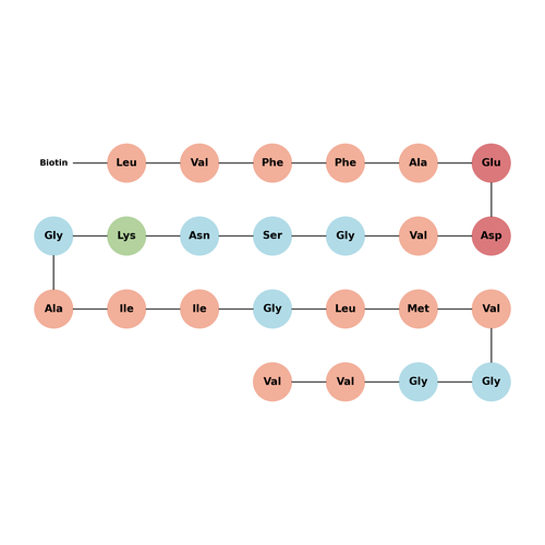 Biotin-β-Amyloid (17-40)