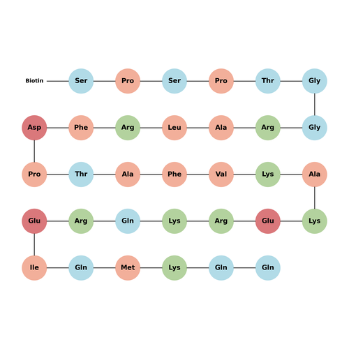 Biotinylated CCDC61 peptide