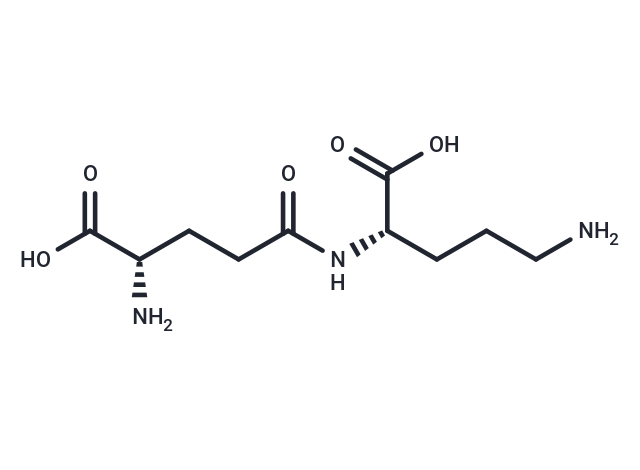 gamma-Glutamylornithine
