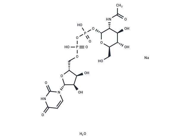 UDP-N-acetyl-D-Glucosamine sodium hydrate