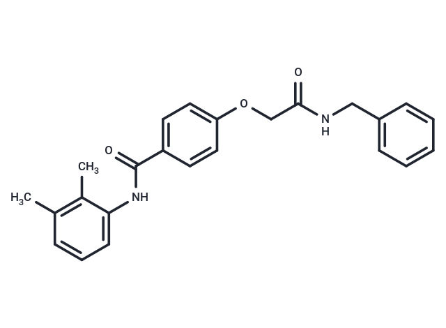 MEISi-1