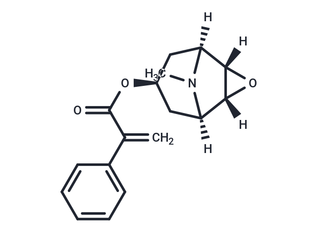 Apohyoscine (Standard)