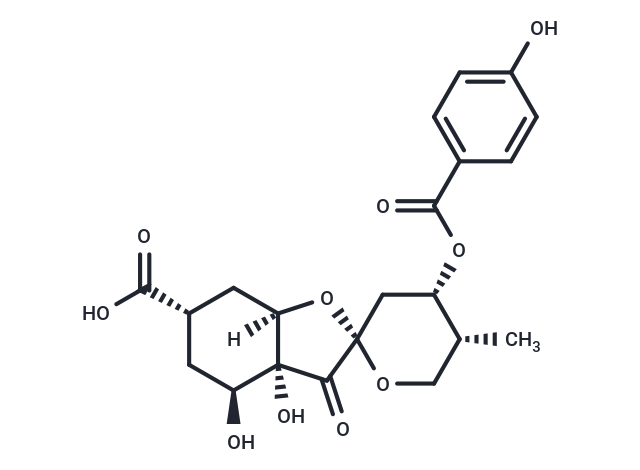 Glochicoccin D