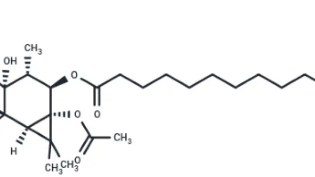 TargetMol—Disease Modeling—PMA (Cat. No. TQ0198, Cas. 16561-29-8), Classical PKC Activator