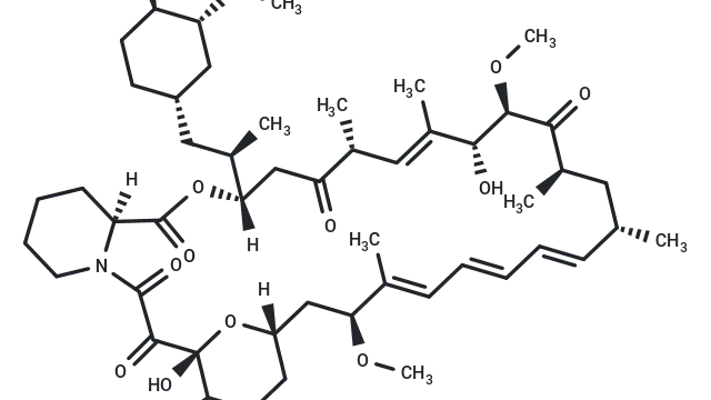 TargetMol—Natural Product—Rapamycin (Cat. No. T1537, CAS. 53123-88-9), a Classical Molecular Tool for Activating Autophagy and Metabolic Reprogramming