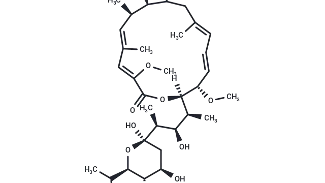TargetMol—Natural Product—Bafilomycin A1 (Cat. No. T6740, Cas. 88899-55-2), a Key Tool in the Study of Autophagic Flux