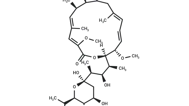 TargetMol—Natural Product—Bafilomycin A1 (Cat. No. T6740, Cas. 88899-55-2), a Key Tool in the Study of Autophagic Flux