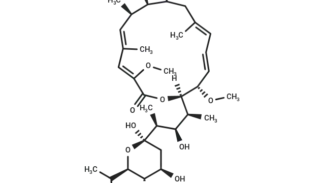 TargetMol—Natural Product—Bafilomycin A1 (Cat. No. T6740, Cas. 88899-55-2), a Key Tool in the Study of Autophagic Flux