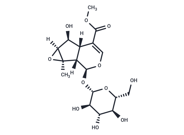 Phlorigidoside C