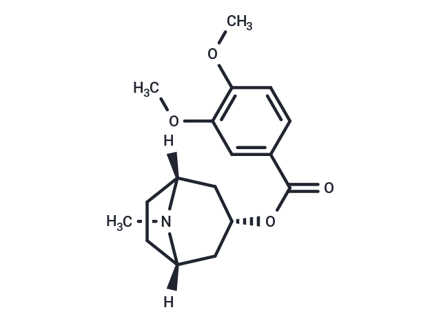 Convolamine