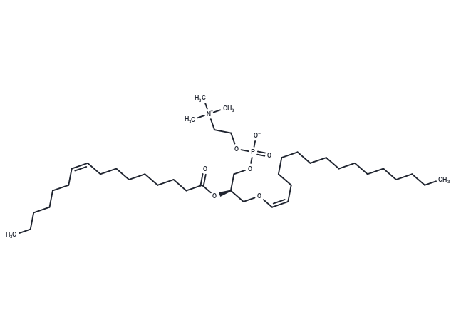 1-(1(Z)-Hexadecenyl)-2-palmitoleoyl-sn-glycero-3-phosphocholine