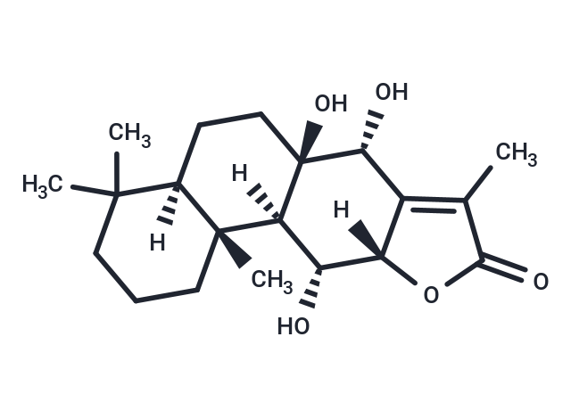 Yuexiandajisu E