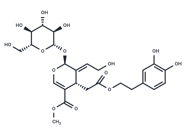 10-Hydroxyoleuropein