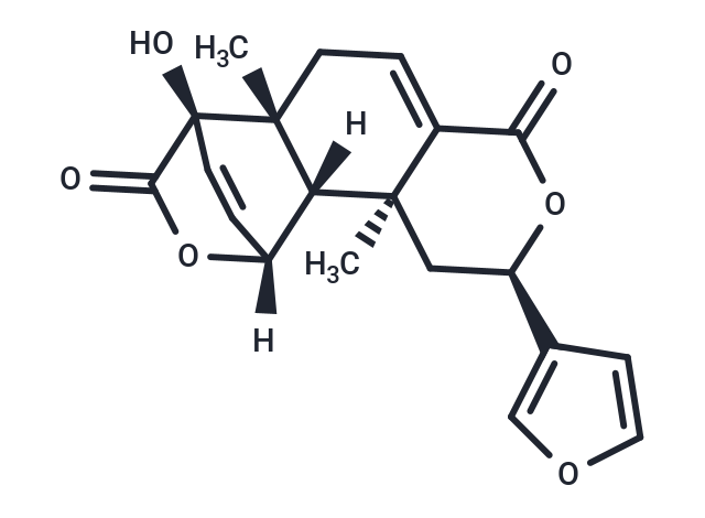Fibleucin