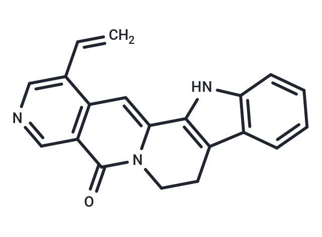 Angustine
