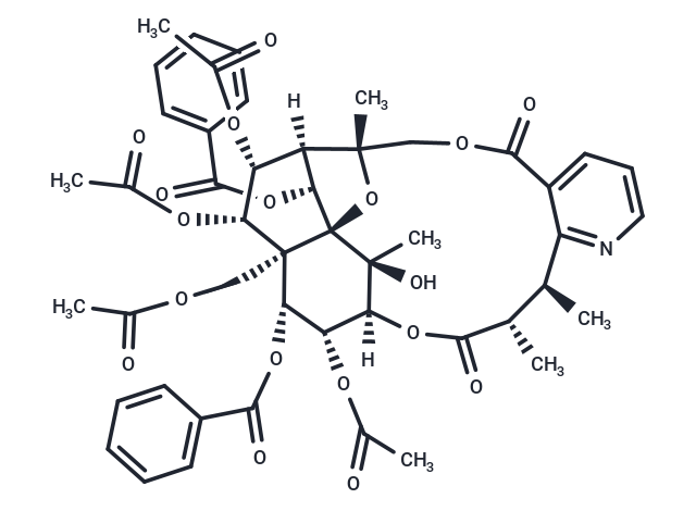Ebenifoline E-II