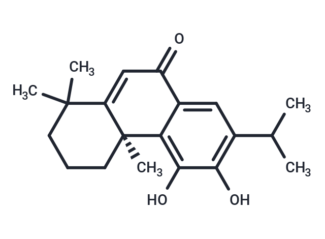 Salvinolone