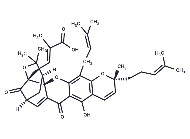 Isogambogic acid
