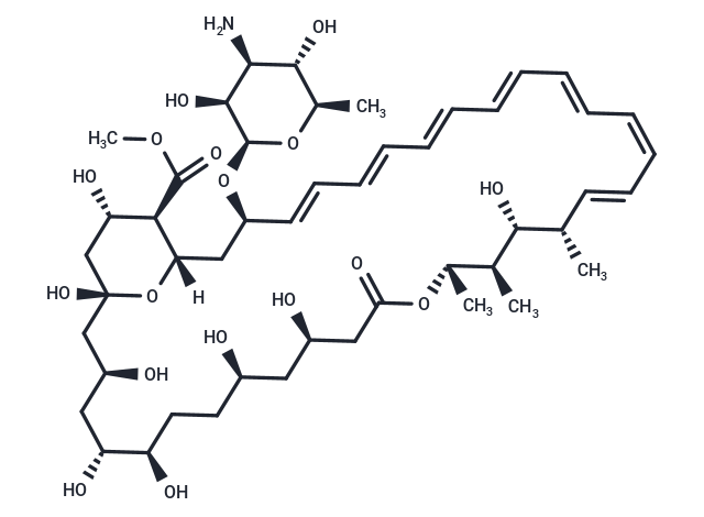 Amphotericin B methyl ester