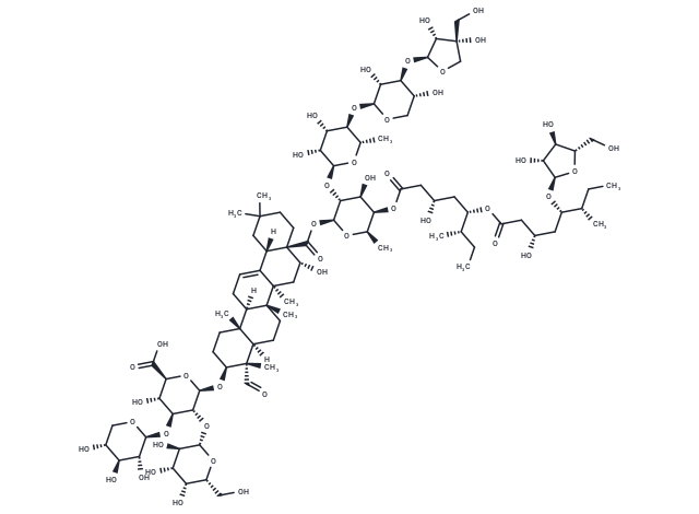 QS-21-Api