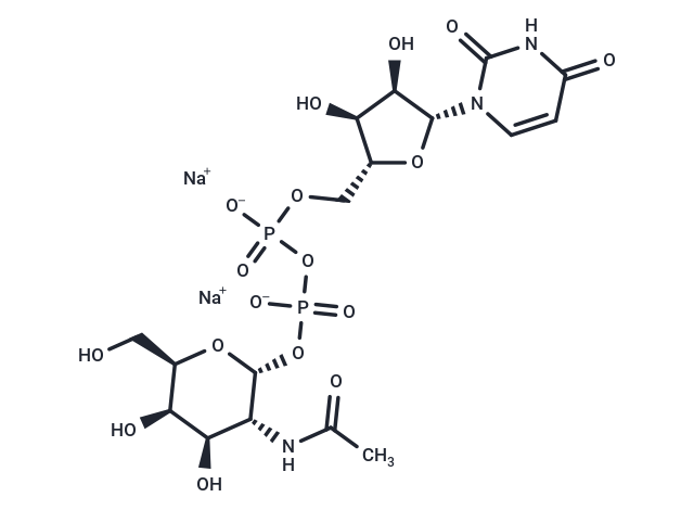 UDP-GalNAc disodium