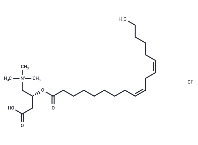 Linoleoyl-L-carnitine (chloride)