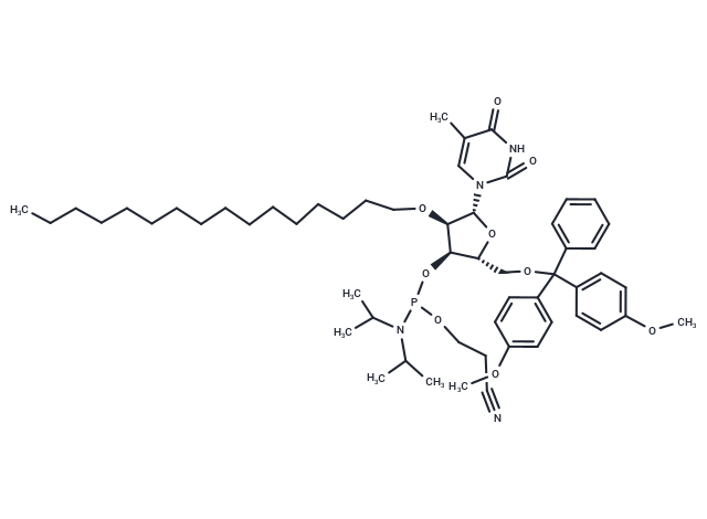5'-O-DMTr-2'-O-C16-T-3'-CE -Phosphoramidite