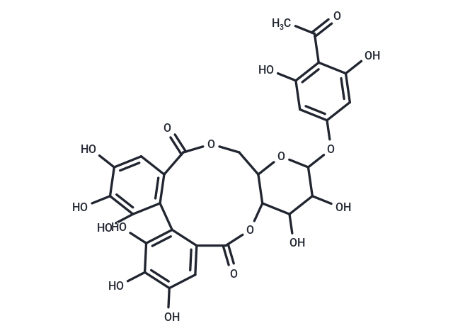 2′,4′,6′-trihydroxyacetophenone 4′-O-[4,6-(S)-hexahydroxydiphenoyl]-β-glucoside