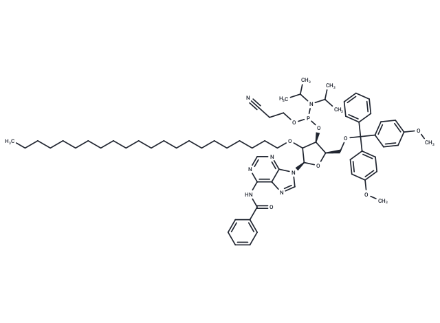 5'-O-DMTr-2'-O-C22-rA(Bz)-3'-CE -Phosphoramidite