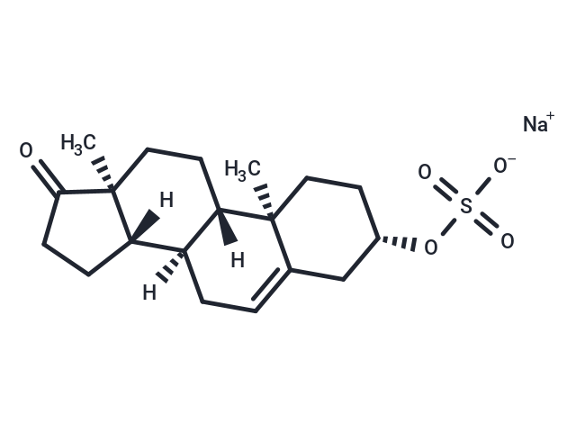 Dehydroepiandrosterone sulfate sodium salt (Standard)