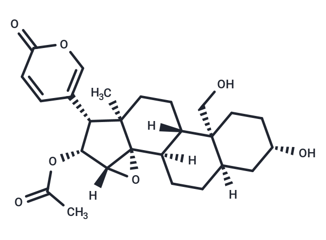 Cinobufaginol
