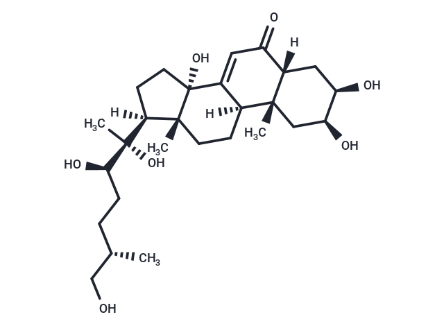 25S-Inokosterone