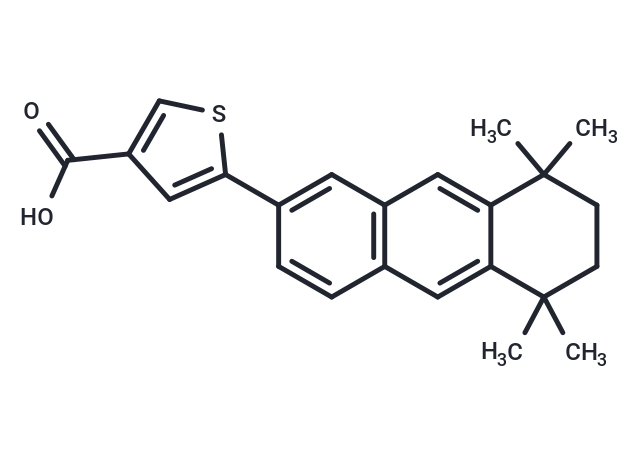 CD 2314