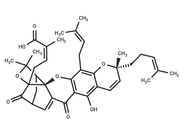 Isogambogic acid
