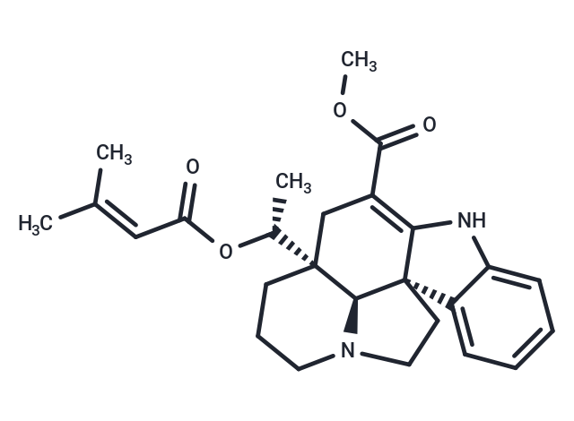 Echitovenidine