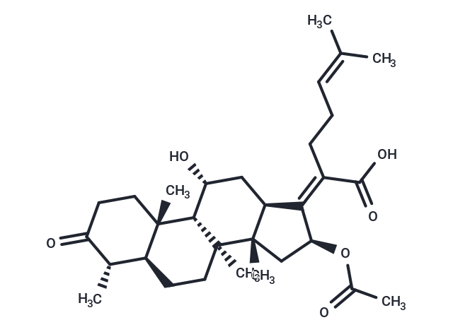 3-keto Fusidic Acid