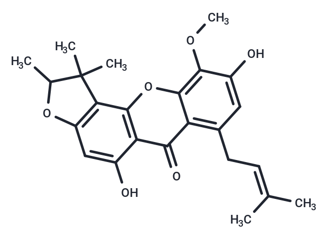 Caloxanthone B